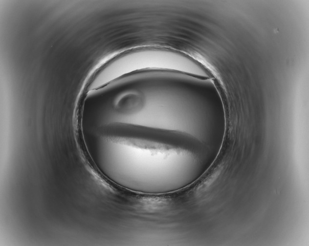 X0000086941037200704301133
