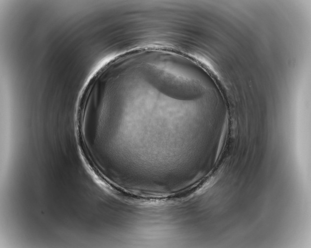 X0000086941038200704301133