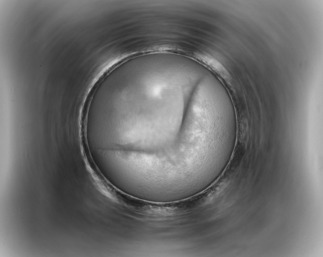 X0000086941039200704301133