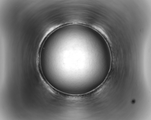 X0000086941040200704301133