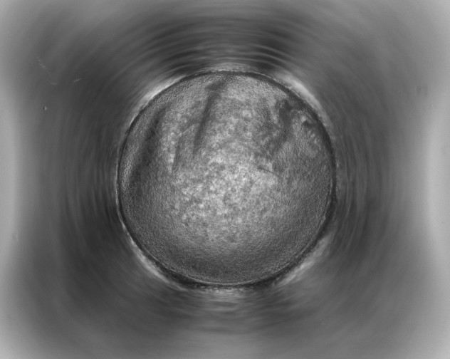 X0000086941041200704301133