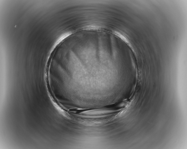 X0000086941042200704301133