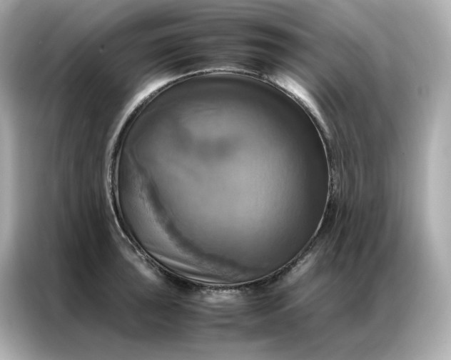 X0000086941043200704301133