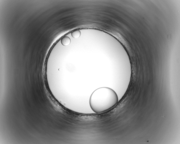 X0000086941044200704301133