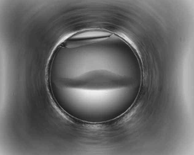 X0000086941045200704301133