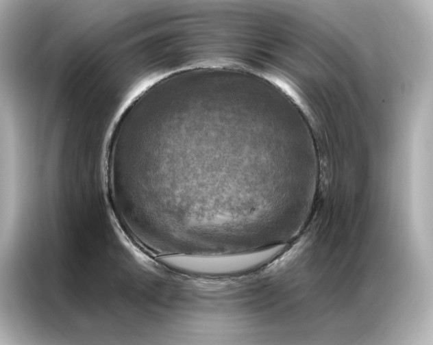 X0000086941046200704301133