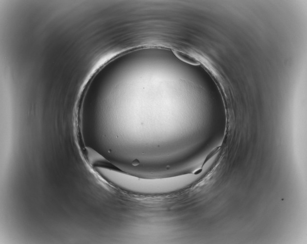 X0000086941048200704301133