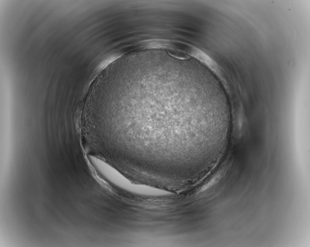X0000086941049200704301133