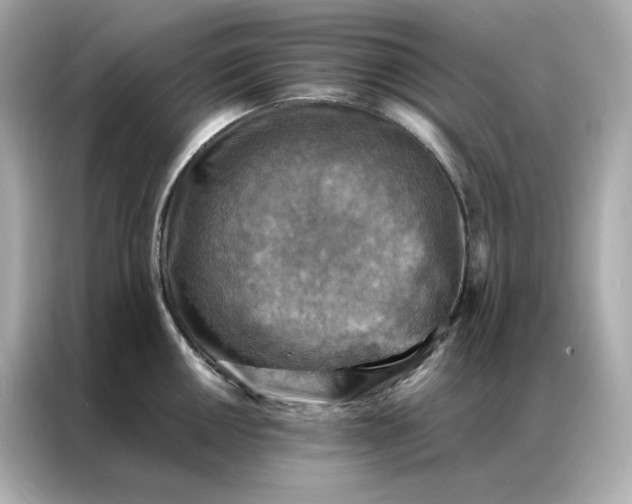 X0000086941050200704301133