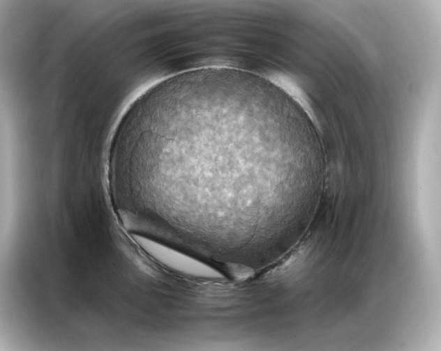 X0000086941051200704301133