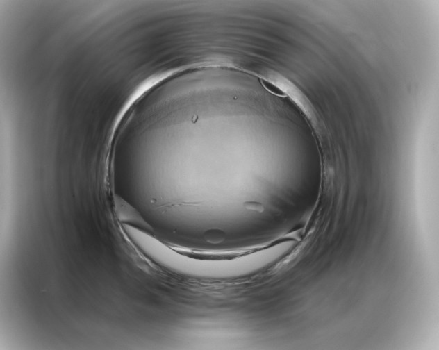 X0000086941052200704301133