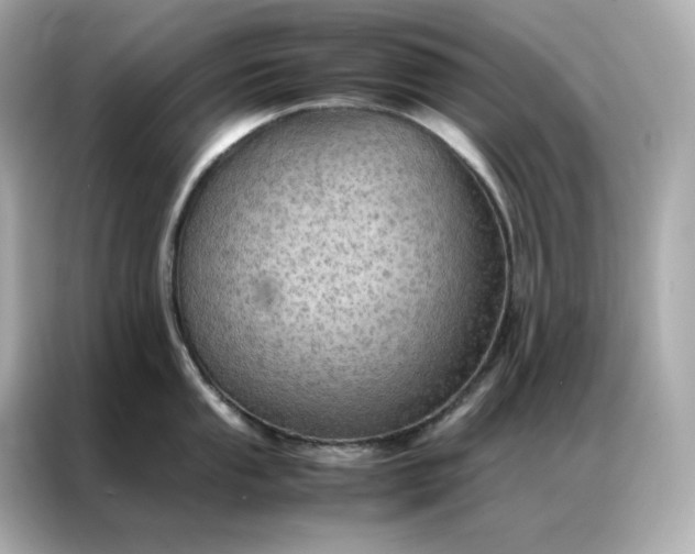 X0000086941053200704301133
