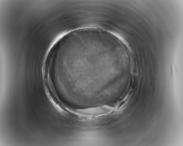 X0000086941054200704301133