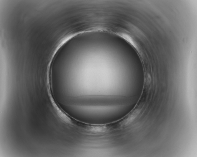 X0000086941055200704301133
