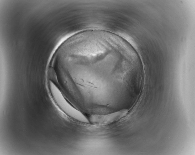 X0000086941056200704301133