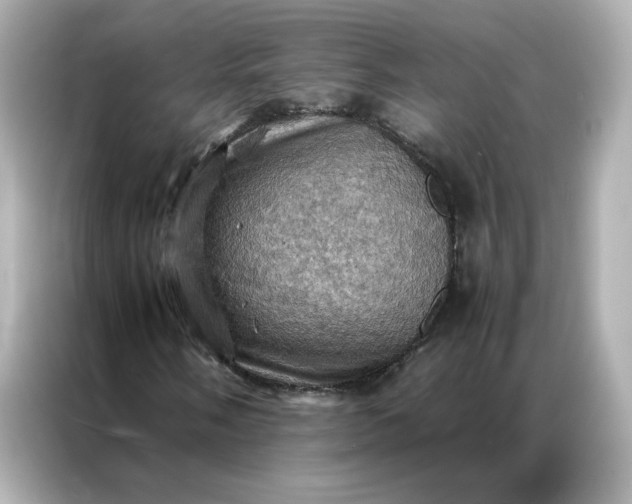 X0000086941058200704301133