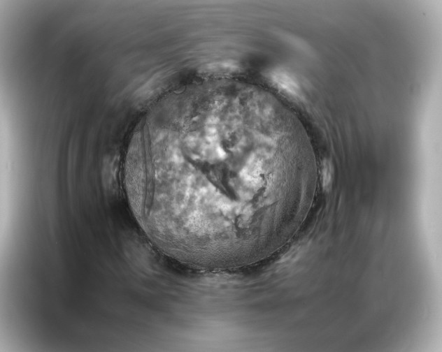 X0000086941059200704301133