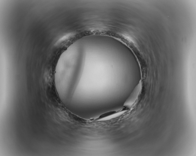X0000086941063200704301133