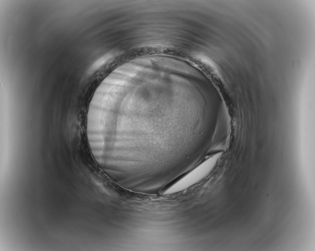 X0000086941064200704301132