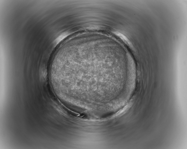 X0000086941065200704301132