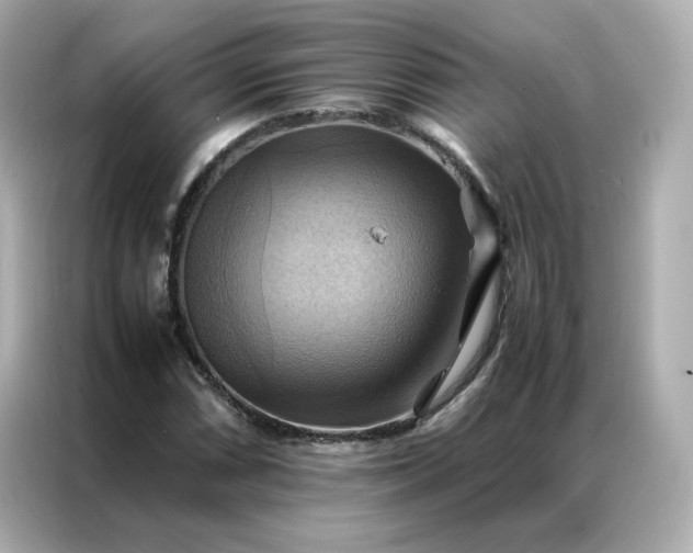 X0000086941066200704301132