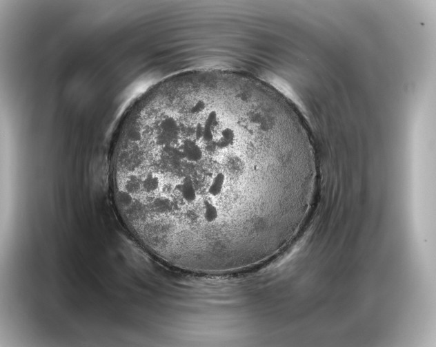 X0000086941067200704301132
