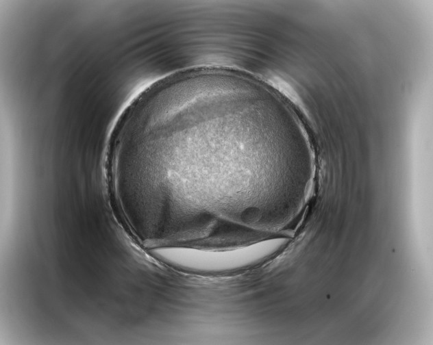 X0000086941068200704301132