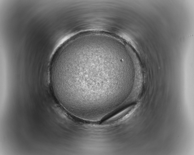 X0000086941069200704301132