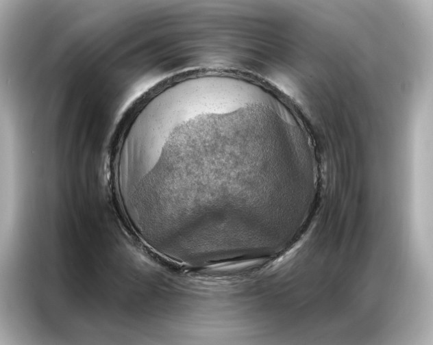 X0000086941070200704301132