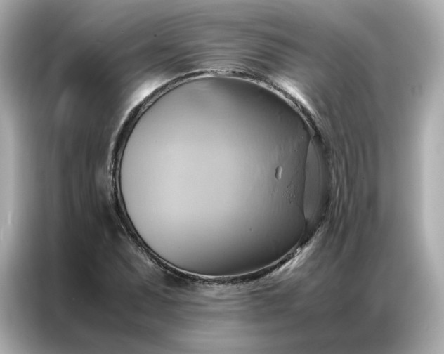 X0000086941071200704301132