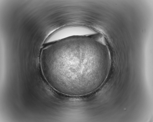X0000086941073200704301132