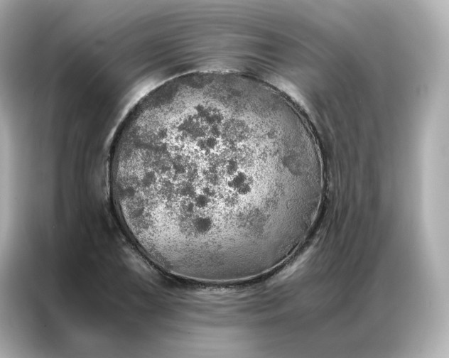 X0000086941075200704301132