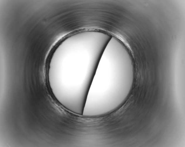 X0000086941076200704301132