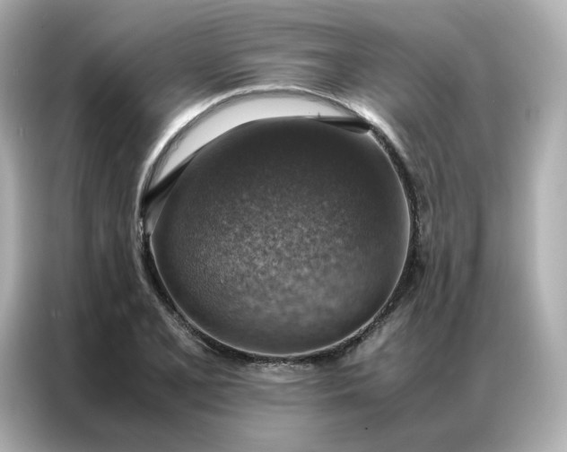 X0000086941077200704301132