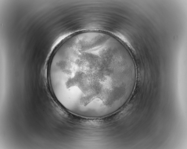 X0000086941078200704301132