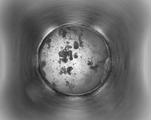 X0000086941079200704301132