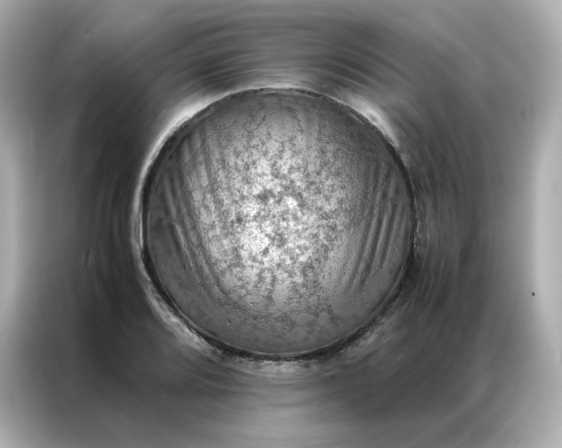 X0000086941080200704301132