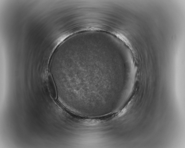 X0000086941081200704301132
