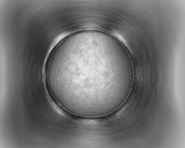 X0000086941082200704301132