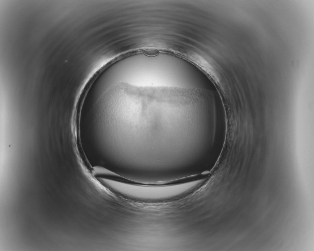 X0000086941084200704301132
