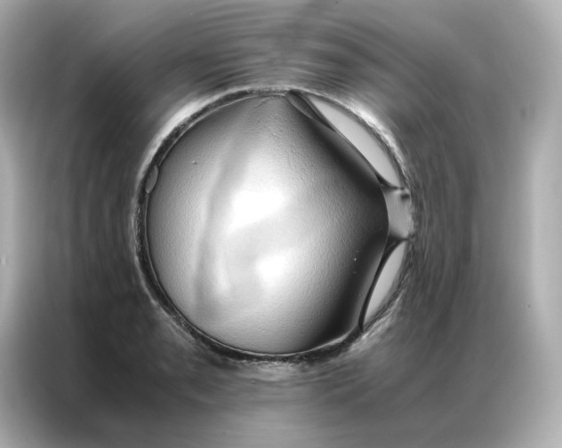 X0000086941085200704301132