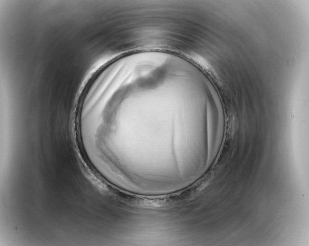 X0000086941086200704301132