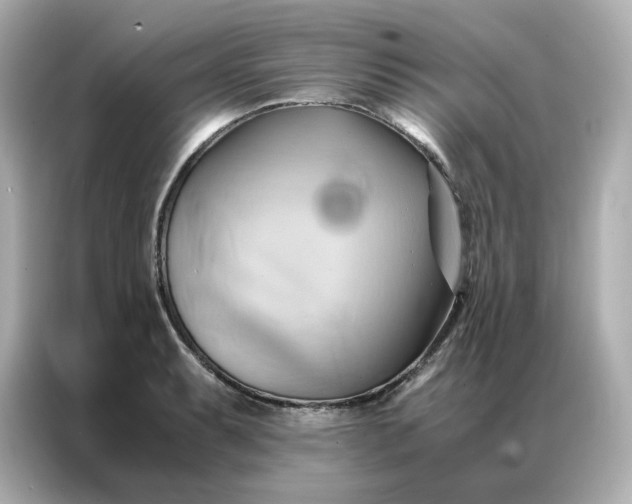 X0000086941087200704301132