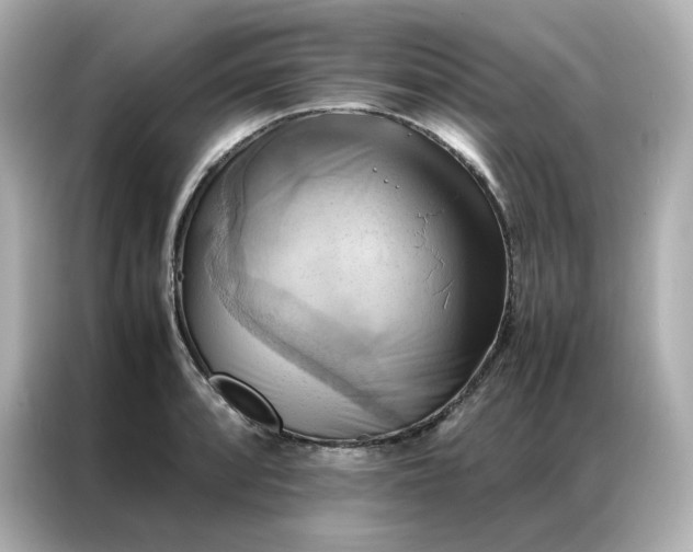 X0000086941088200704301132