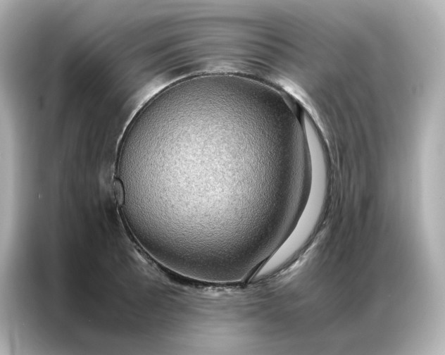 X0000086941089200704301132