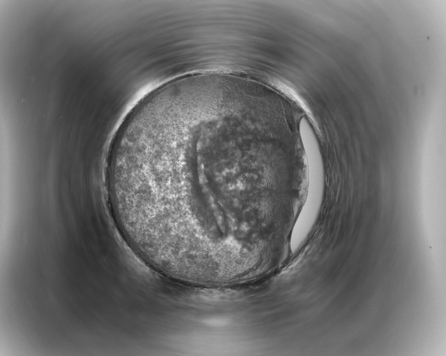 X0000086941091200704301132