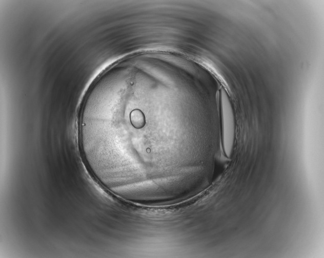 X0000086941092200704301132