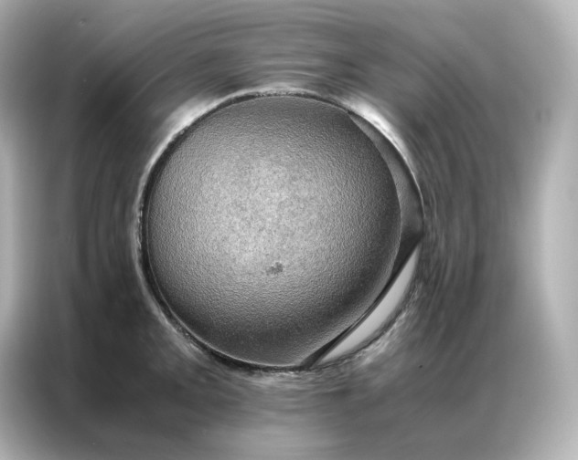 X0000086941093200704301132
