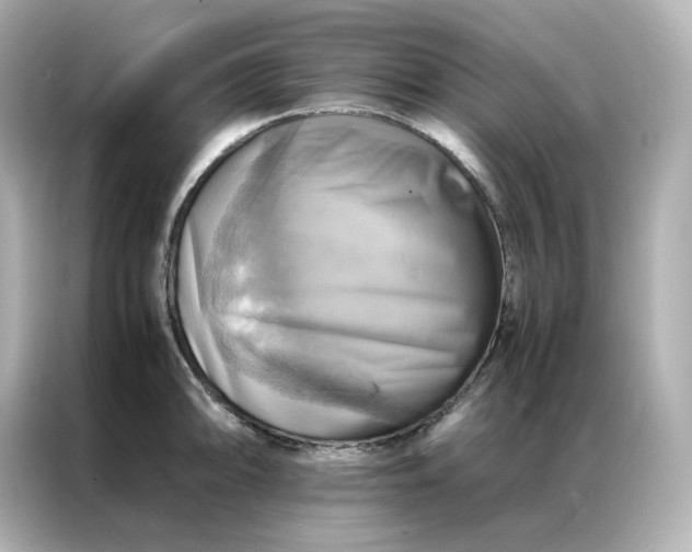 X0000086941094200704301132