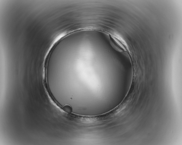 X0000086941095200704301132